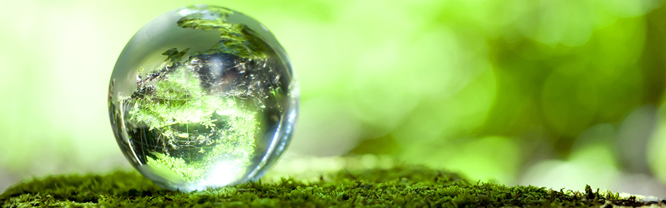 Comunicação sustentável em projetos corporativos