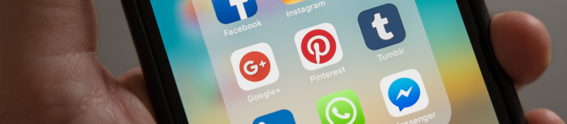 Torne-se especialista em  fake news