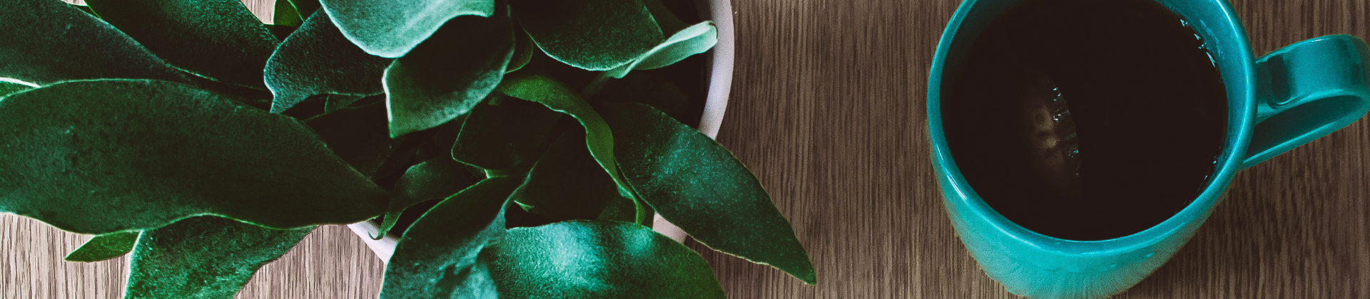 How to Create an Integrated Communication Strategy?